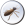 diagnostic termite